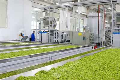 秀山興隆坳茶葉加工中心正式投產(chǎn)，助力茶產(chǎn)業(yè)提質(zhì)增效